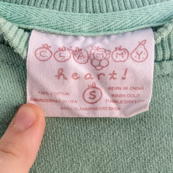 Clammy Heart Flower Embroidery Sweatshirt in Mint Green - Picture 4 of 8